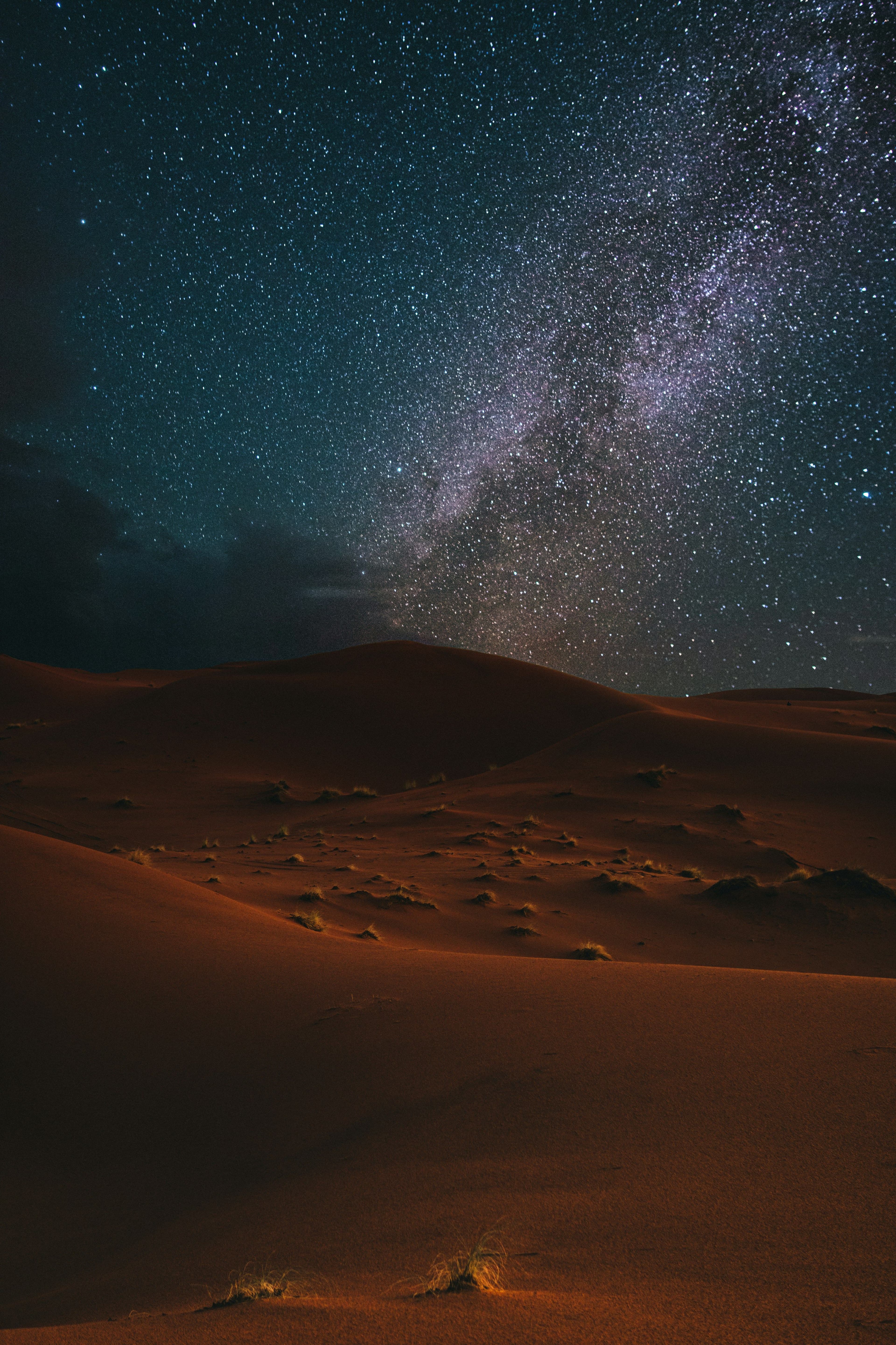 The largest silence on the continent, under a full field of stars.