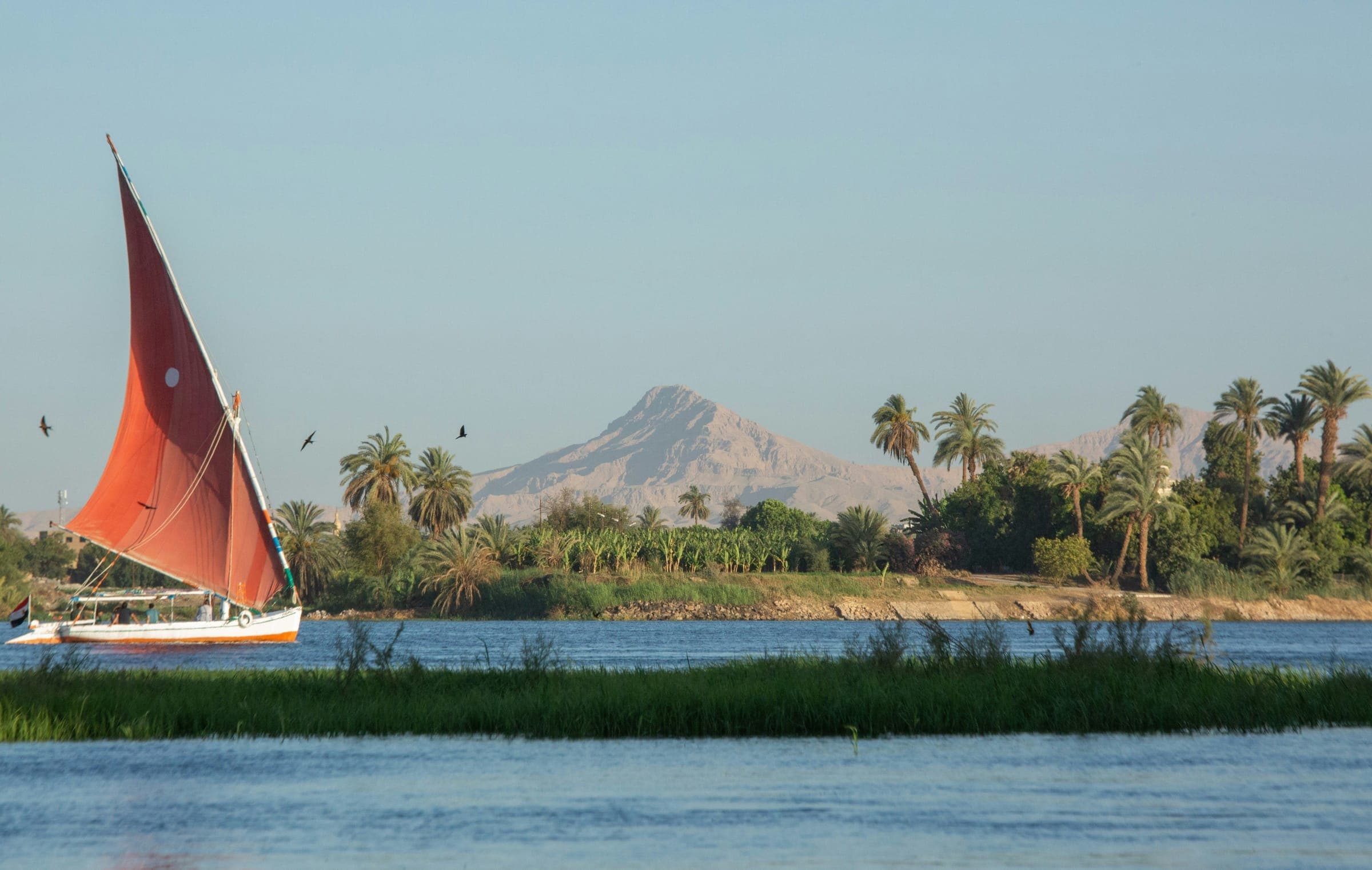 A felucca on the Nile at sunset
