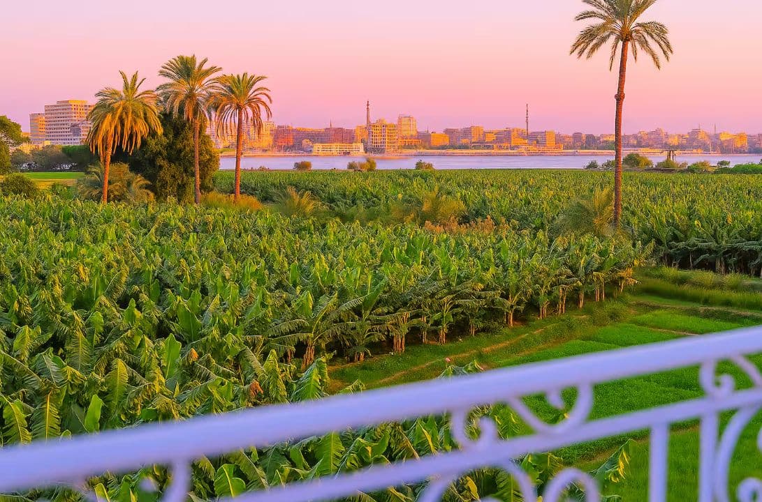 Banana Island by Felucca
