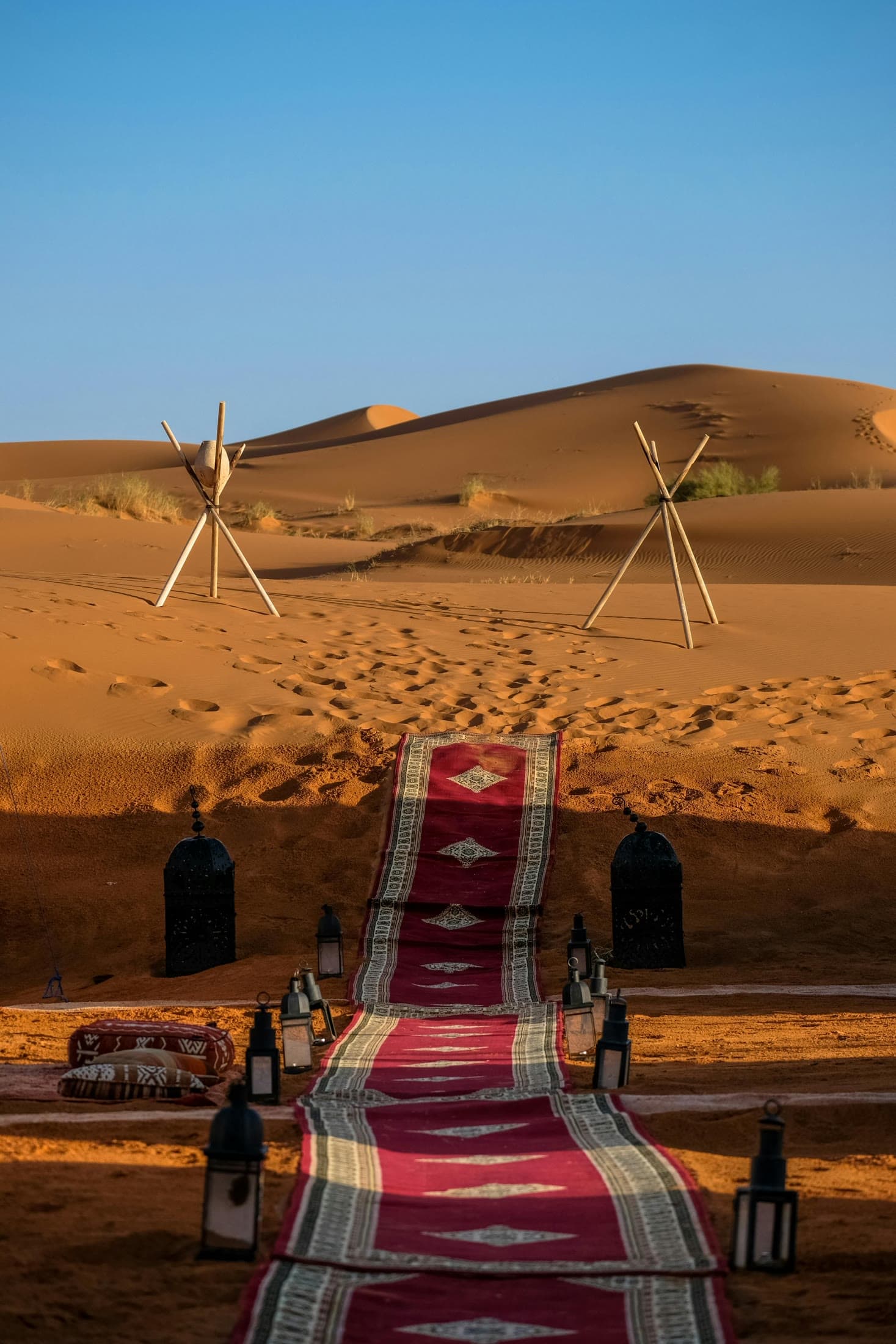 The camp, laid out — carpets, lanterns and the open sky.