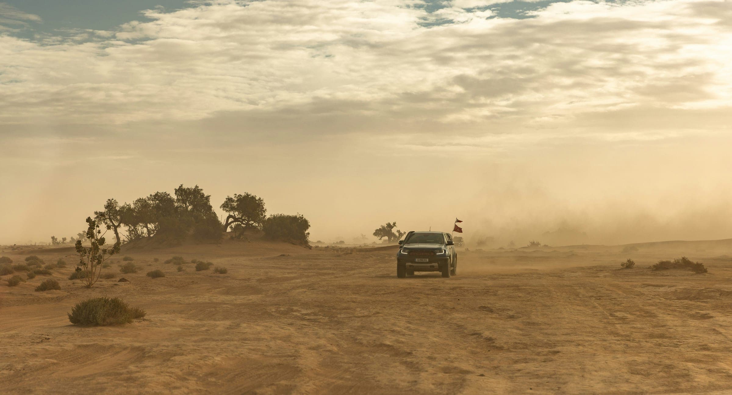 Private Desert Safari & Stars